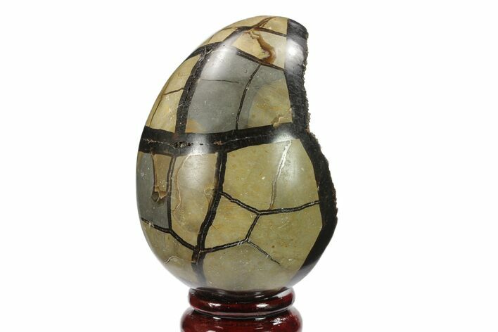 Septarian Dragon Egg Geode - Black Crystals #134436